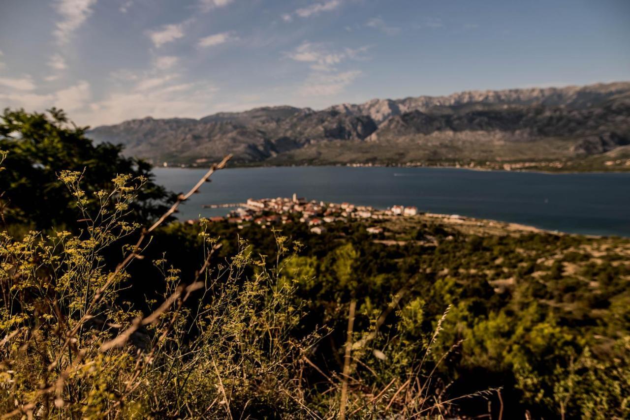 La Familia, Zadar, Vinjerac Villa ภายนอก รูปภาพ